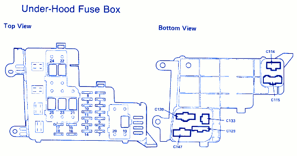 Honda Accord Lx 1988 Bottom View Fuse Box  Block Circuit