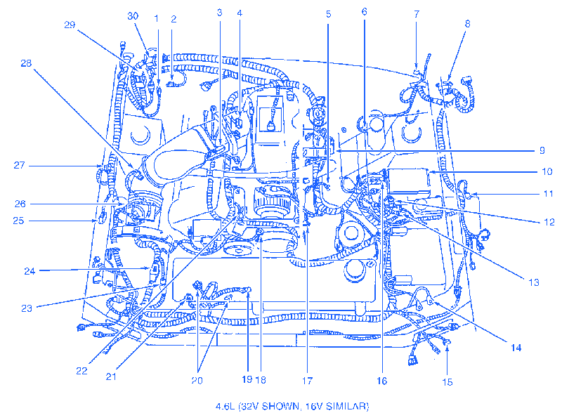2001 Mustang Speaker Wiring Diagram - Database